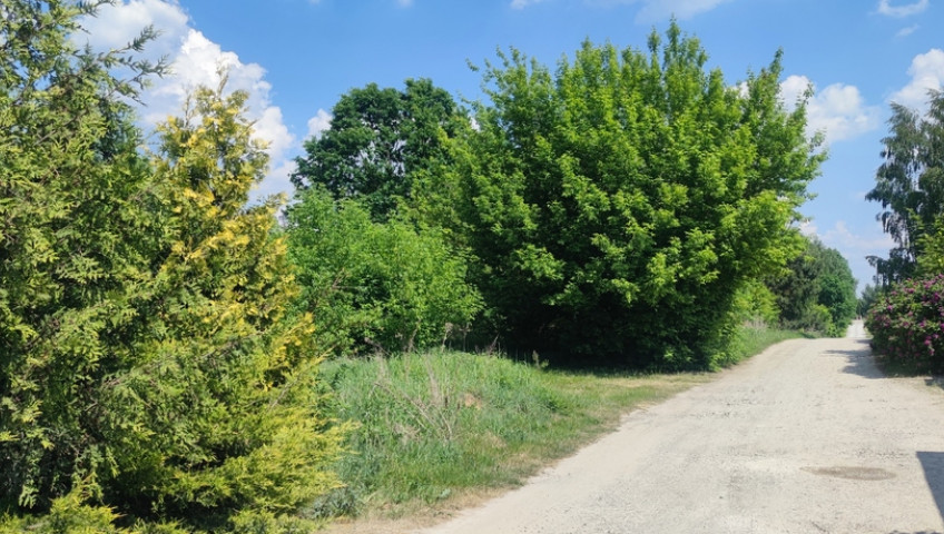 Działka Sprzedaż Wiktorów